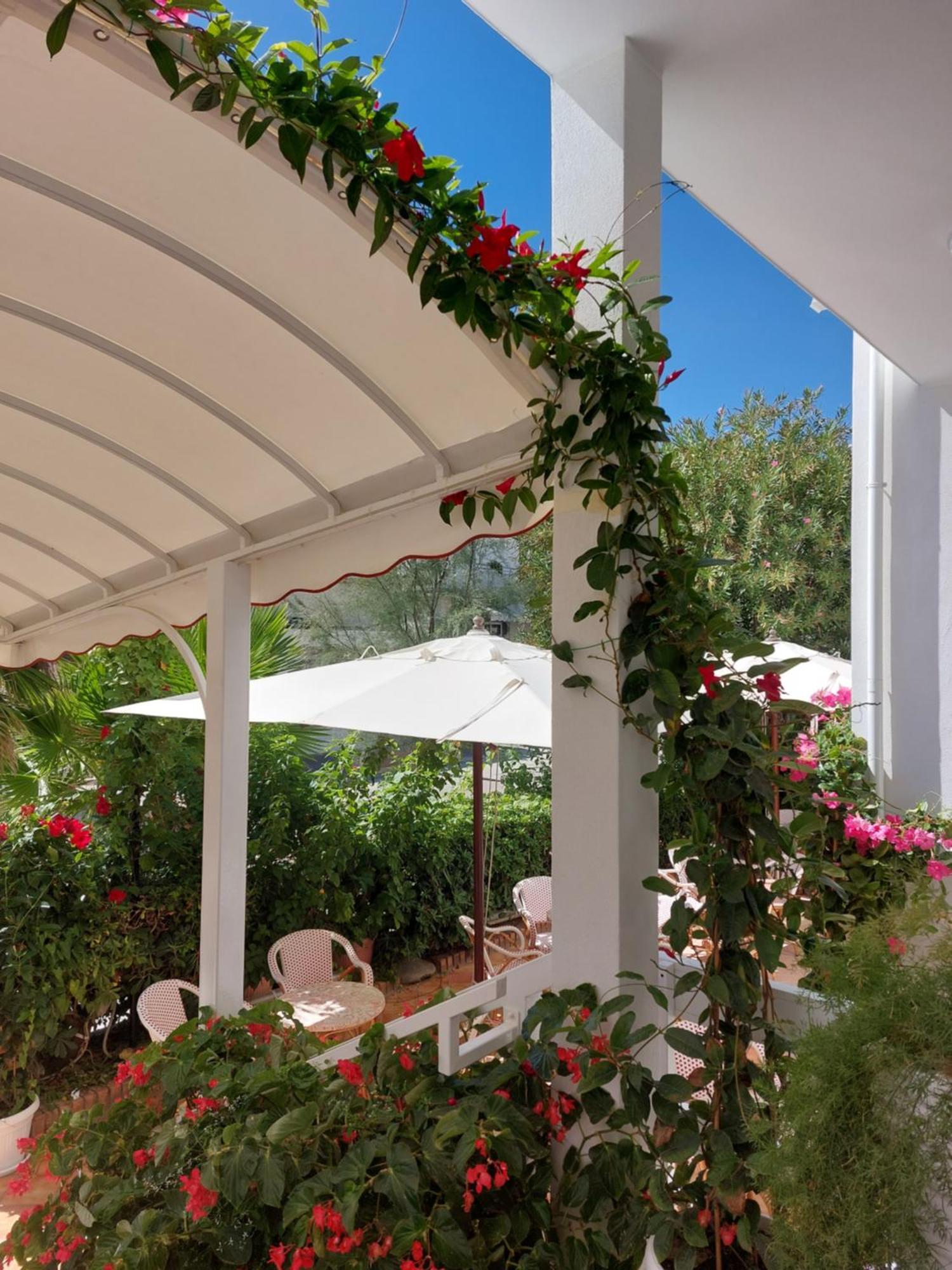 Hotel Driade Sul Mare Rimini Dış mekan fotoğraf