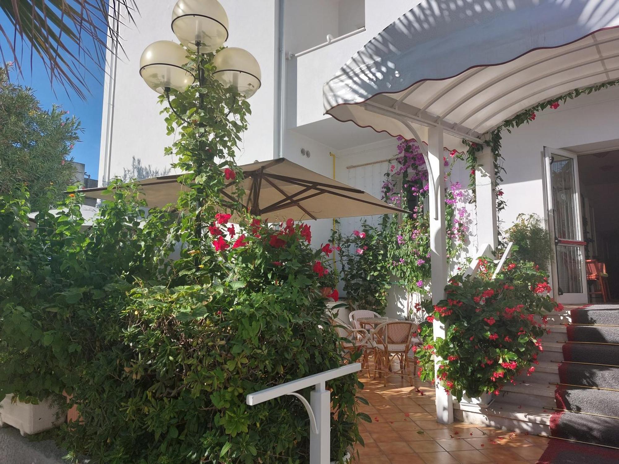 Hotel Driade Sul Mare Rimini Dış mekan fotoğraf