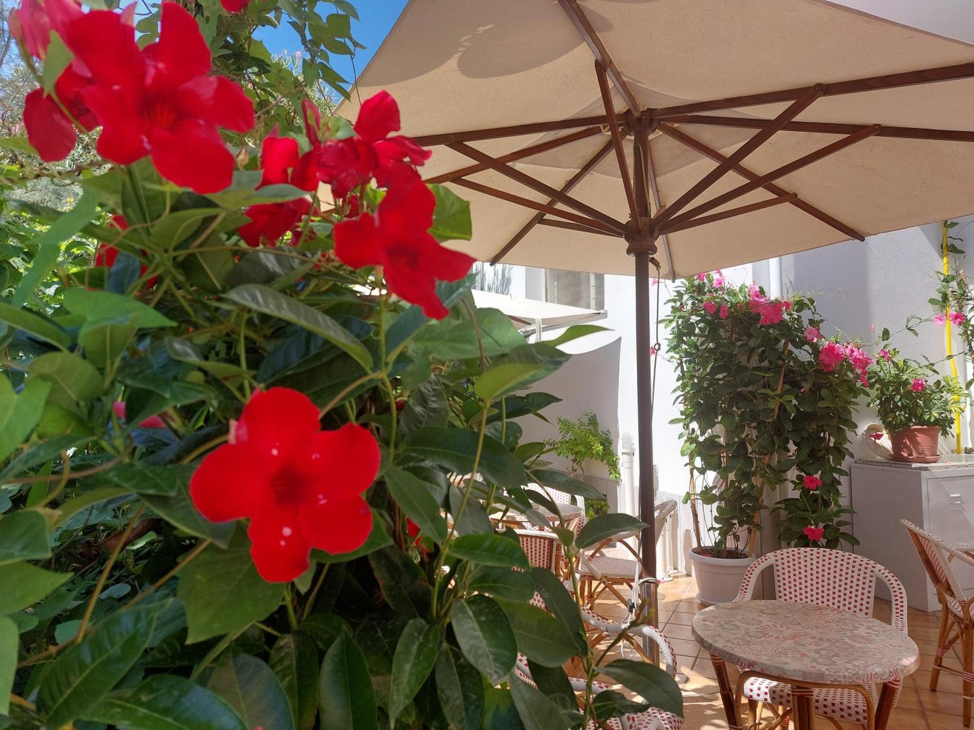 Hotel Driade Sul Mare Rimini Dış mekan fotoğraf